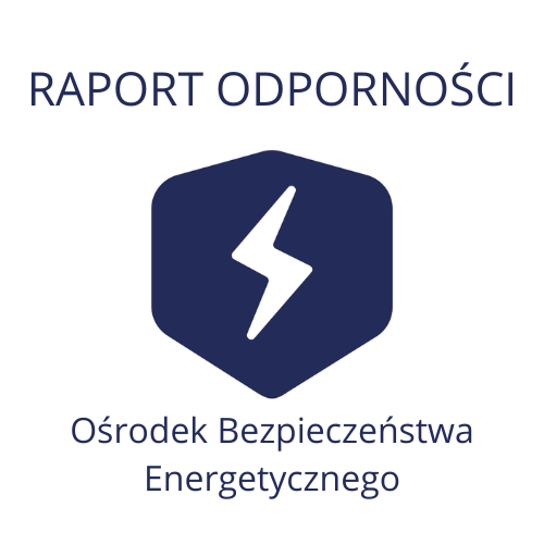 Raport Odporności – grudzień&nbsp;2025
